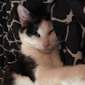 Meet your Posher, Mae